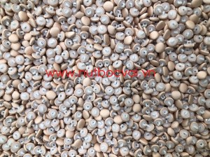 Nút bọc vải mặt cong chân nhựa trắng 14L